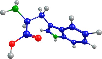the 3d-rendered colorified molecule of tryptophane