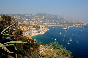 Poster de jardin nice vieux port