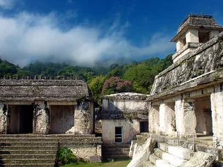 Washable wall murals Mexico view of palenque mexico