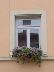Fototapeta na wymiar fenêtre fleurie