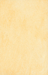 colours design paint background