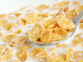 breakfast cereals