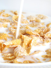 breakfast cereal