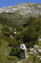 walking in the mountains