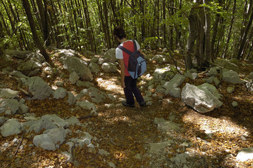 Naklejka na ściany i meble walking in the mountains