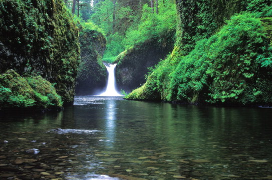 Fototapeta punchbowl falls