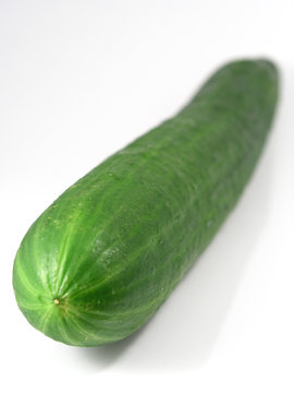 salatgurke