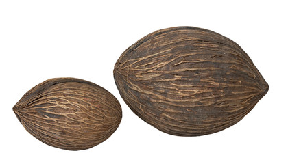 two isolated coconuts