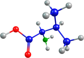 the 3d-rendered colorified molecule of valine