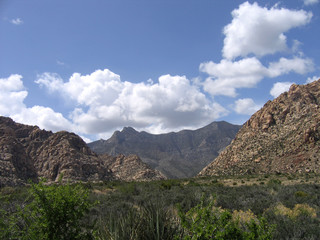 red rock canyon #15