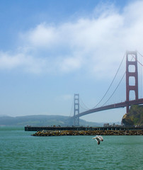 golden gate view