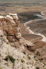painted desert