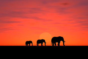 Fototapeta na wymiar słonie na zachodzie słońca
