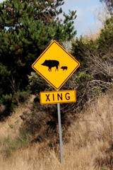 pig crossing sign