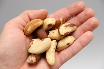 brazil nuts