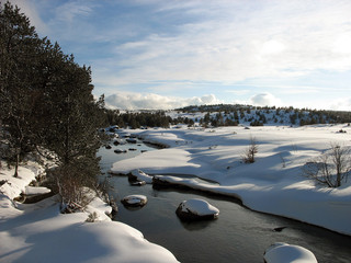 paysage d'hiver