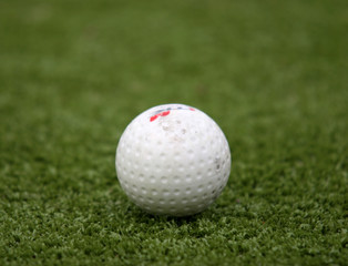 hockey ball on the grass