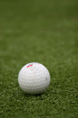 hockey ball on the grass