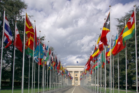 many national flags at un entry