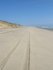 tracks in the sand 3