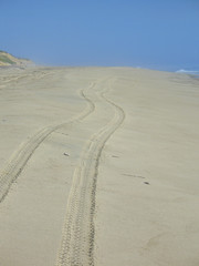 tracks in the sand 2