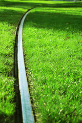 rail dans l'herbe