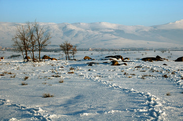 llanura segoviana en invierno