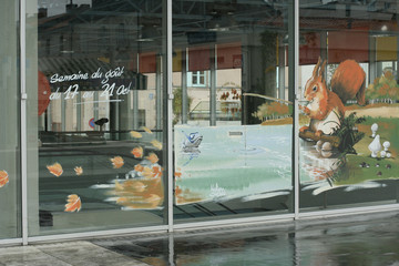 dessin sur vitrine