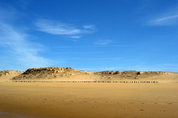Fototapeta na wymiar dune sauvage