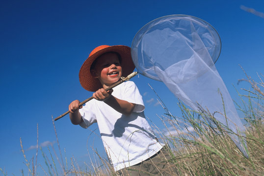 enfant papillon chasse