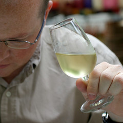 dégustation de vin blanc