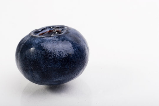 single blueberry