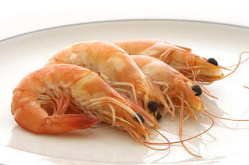 prawns