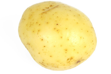 potato