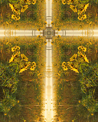 homestead sunflower cross