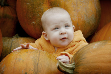 tis the season for pumpkins