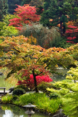 japanese garden--seattle, wa