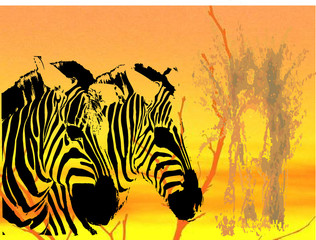 Fototapeta na wymiar zebra background - vector illustration