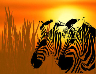 Fototapeta na wymiar zebra background - vector illustration