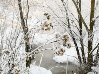  frosty day with the river