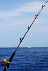 gone fishing © Gina Smith