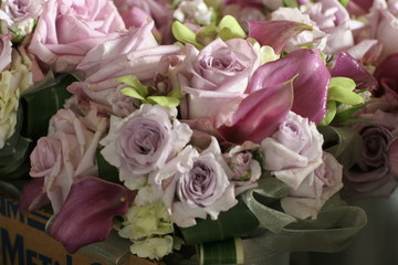 roses