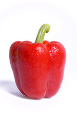 red pepper