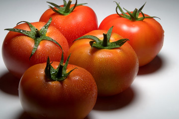 tomates_9735.