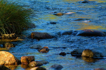 swift river rocks at dusk