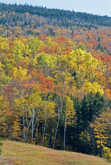 fall peak season foliage in new  hampshire