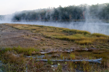morning fog on riverbank