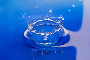 blue water bowl