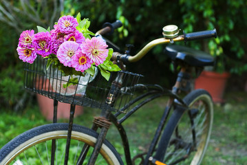 Fototapeta na wymiar Rower z kwiatami