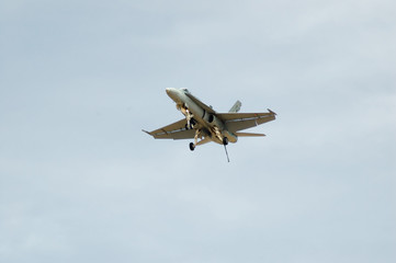 Fototapeta na wymiar f/a-18 hornet landing